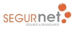 Segurnet